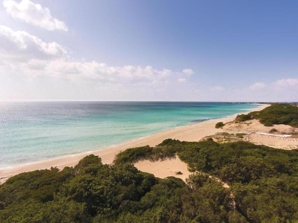 Villa Spiaggia Degli Angeli 切萨雷奥港 外观 照片